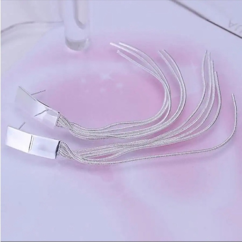 Silver Tassle Long Earrings NEW